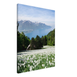Load image into Gallery viewer, &#39;Narcisses field overlooking Lac Léman&#39; - Canvas
