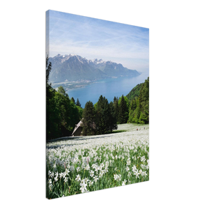 'Narcisses field overlooking Lac Léman' - Canvas
