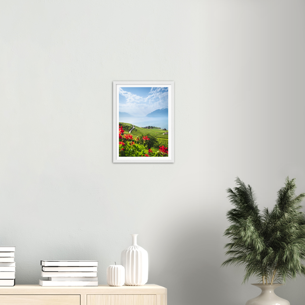 'Overlooking the Lavaux Vineyards' - Framed