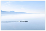 Load image into Gallery viewer, &#39;Steamboat on Lac Léman&#39; - Aluminium Dibond
