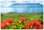 Load image into Gallery viewer, &#39;The Vineyards of Lavaux&#39; - Aluminum Dibond
