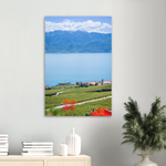 Load image into Gallery viewer, &#39;Steamboats and Vineyards&#39; - Print
