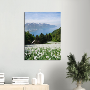 'Narcisses field overlooking Lac Léman' - Canvas