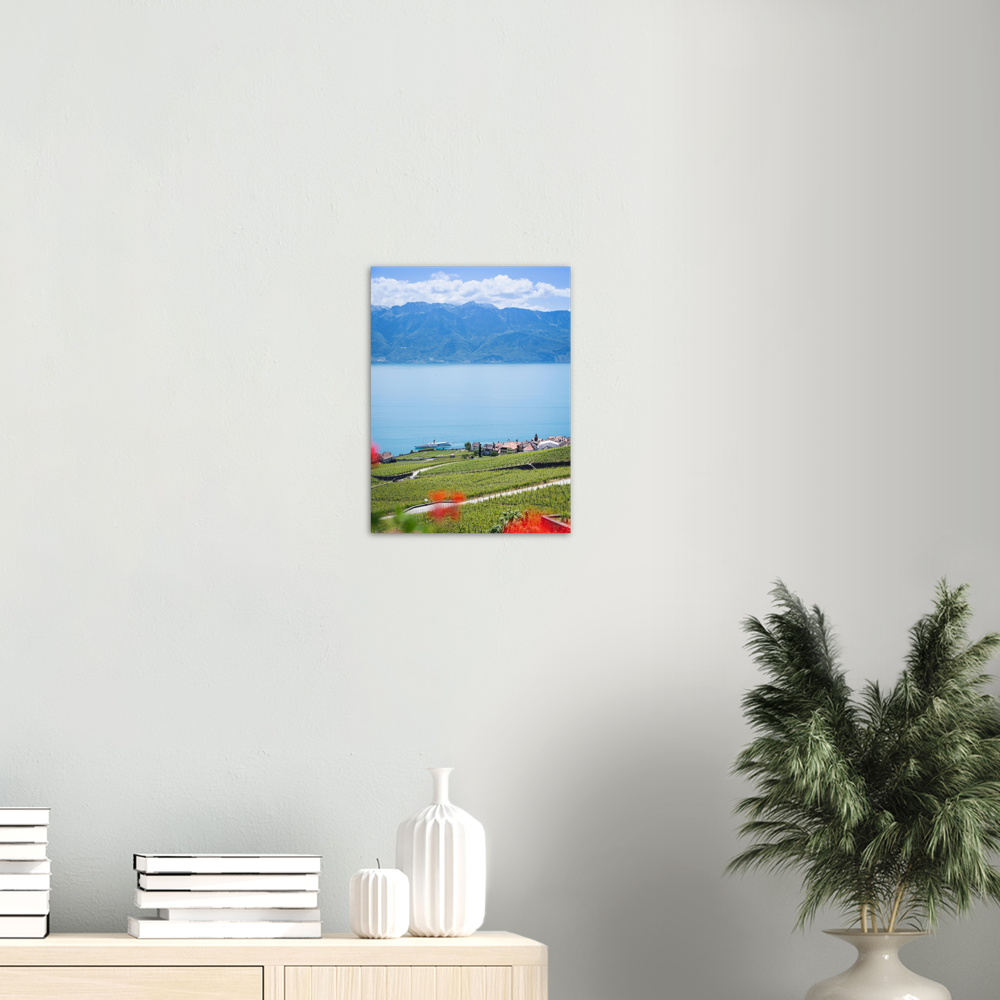 'Steamboats and Vineyards' - Print