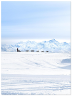 Load image into Gallery viewer, &#39;Husky Ride at Glacier 3000&#39; – Print
