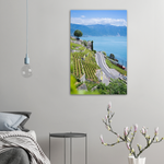 Load image into Gallery viewer, &#39;Through the Vines of Lavaux&#39; - Print
