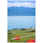 Load image into Gallery viewer, &#39;Steamboats and Vineyards&#39; - Print

